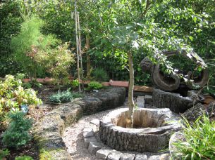 Plantering i stubbe